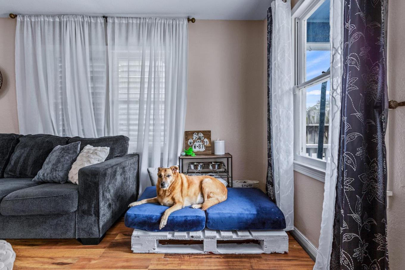 The Blue Oasis With Handicap Ramp Access Dog Friendly & Cowboy Pool Galveston Exteriér fotografie